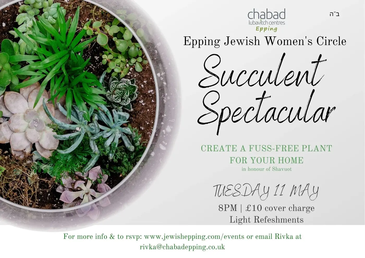 Succulent Spectacular