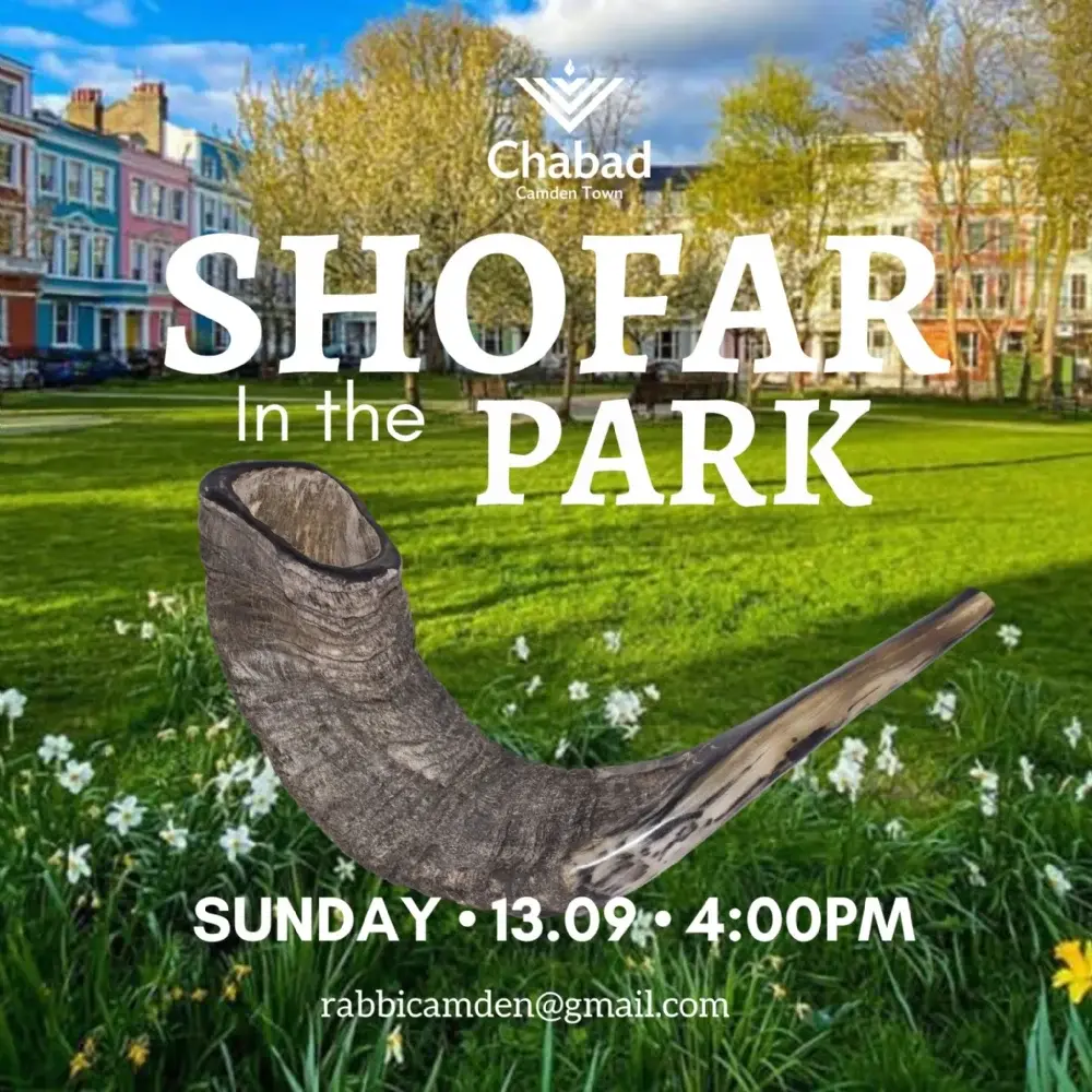 Shofar in the Park RSVP