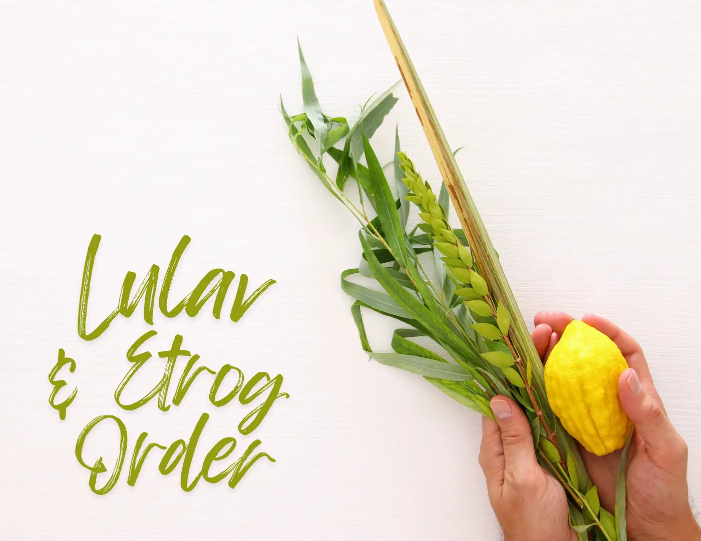 Lulav and Etrog Order Form