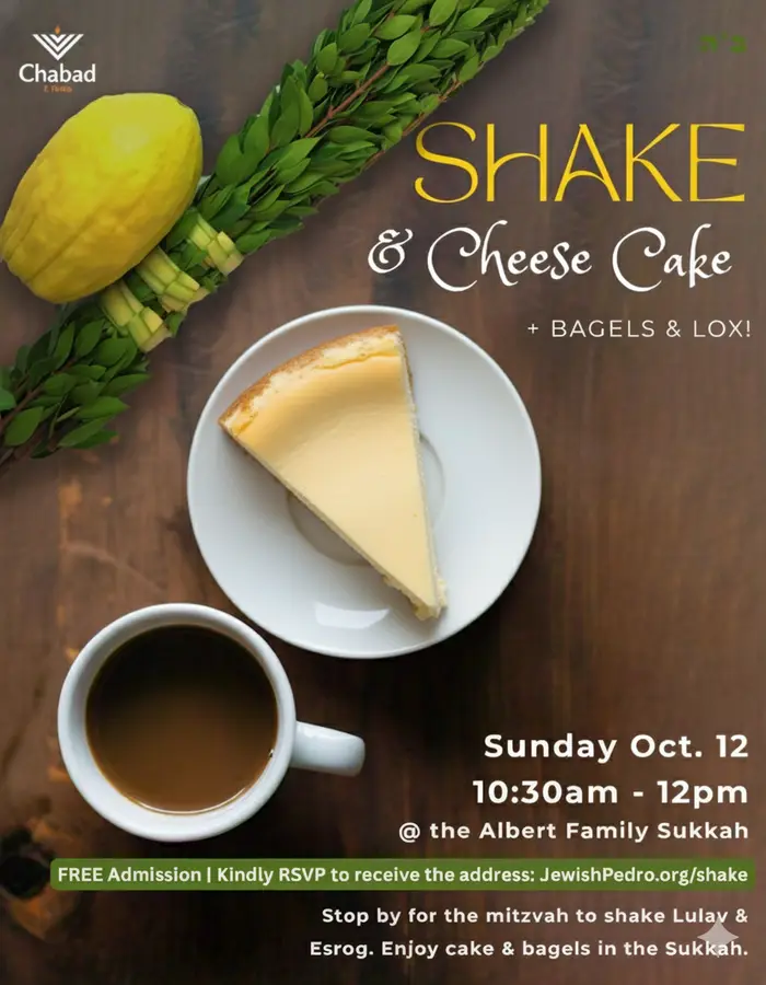 Shake & Cheesecake community event