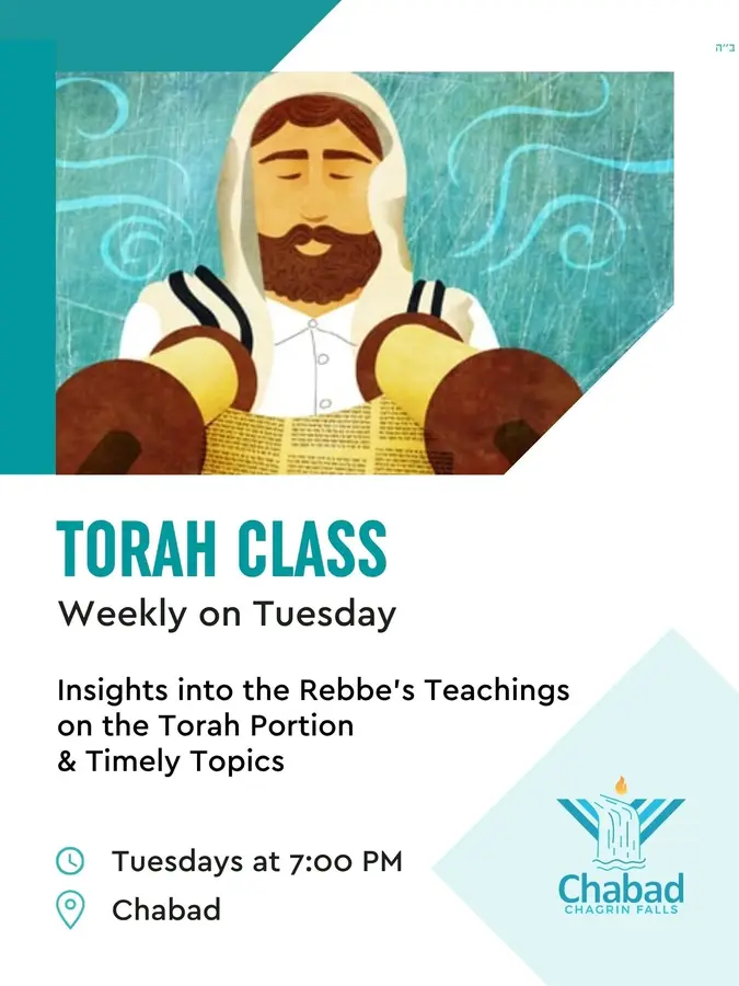 Come in any Tuesday at 7pm for the weekly Torah class, or see below for more learning opportunities.