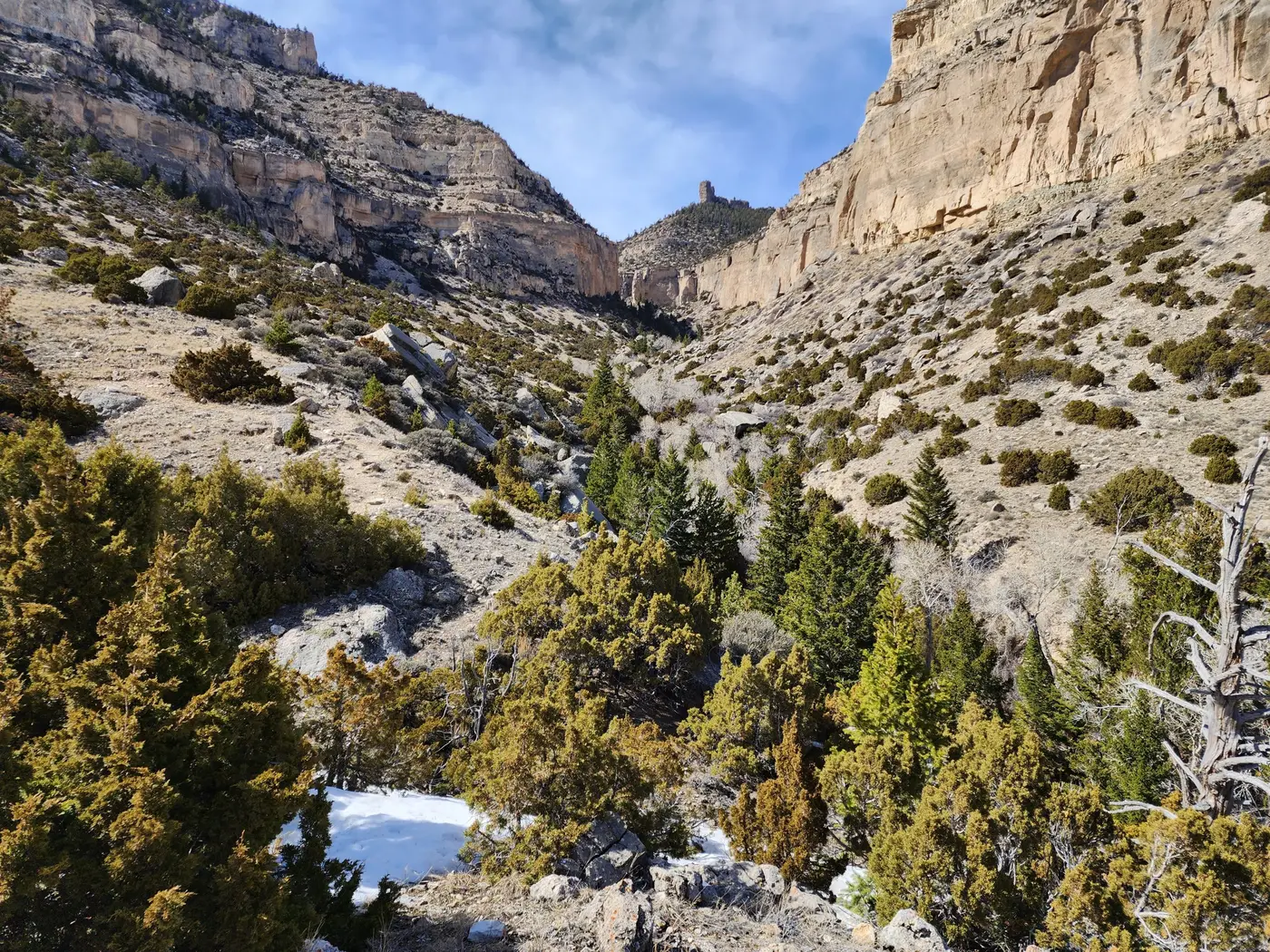 Yellowstone National Park