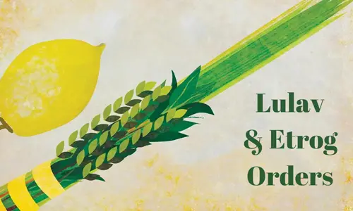 Lulav & Etrog Orders