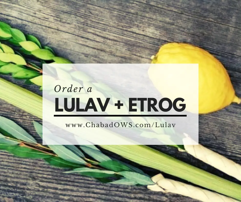 Order Lulav + Esrog