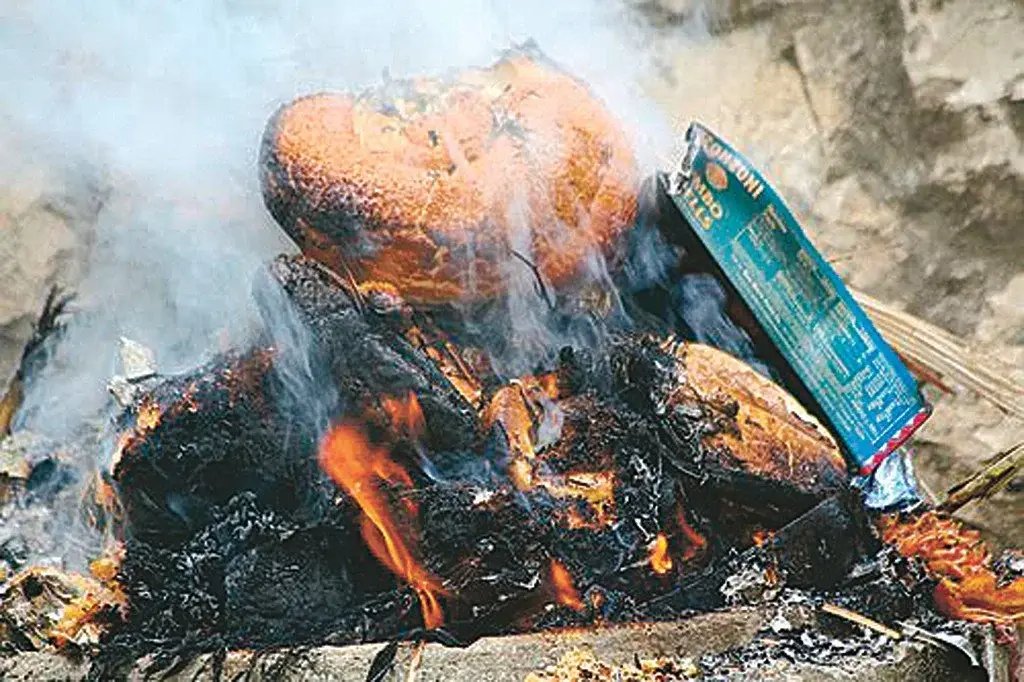 Item burning in an outdoor fire, including a partially burnt box and some food packaging.