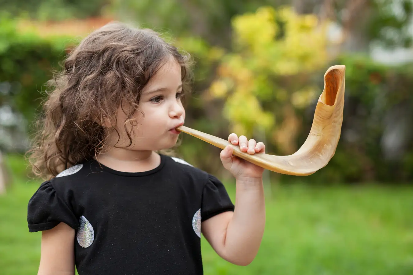 Shofar in the Park