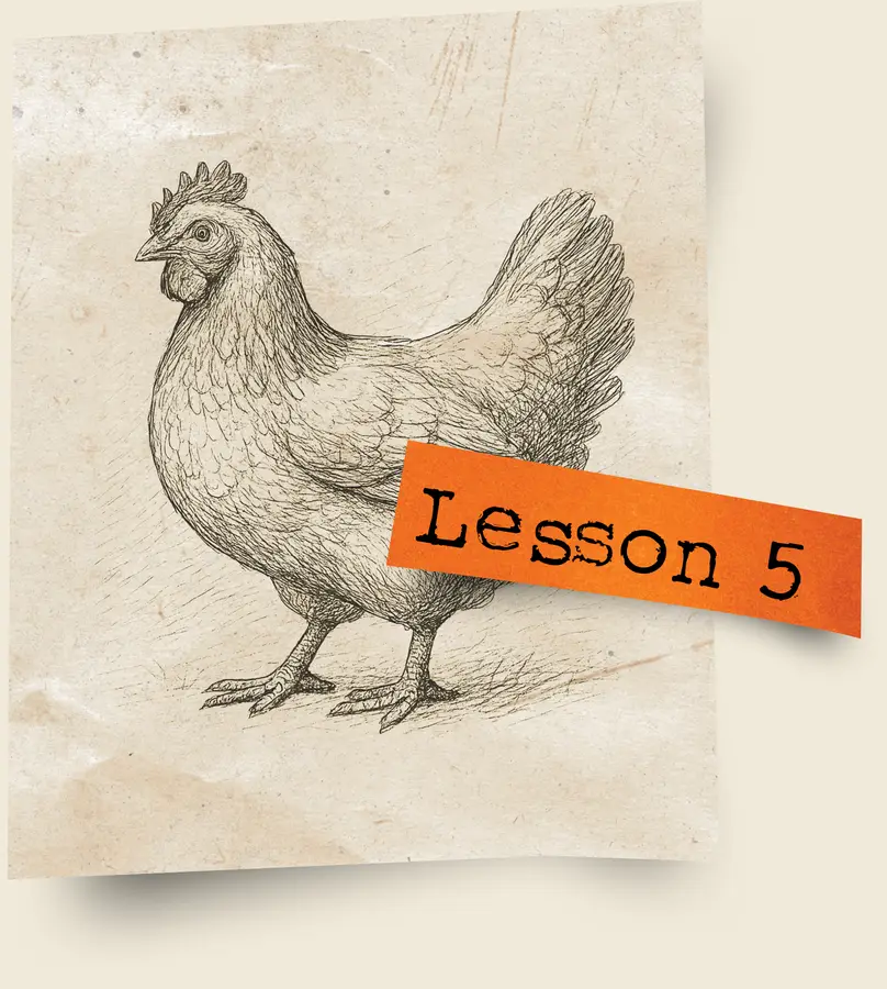 Lesson 5 Answering the whole person