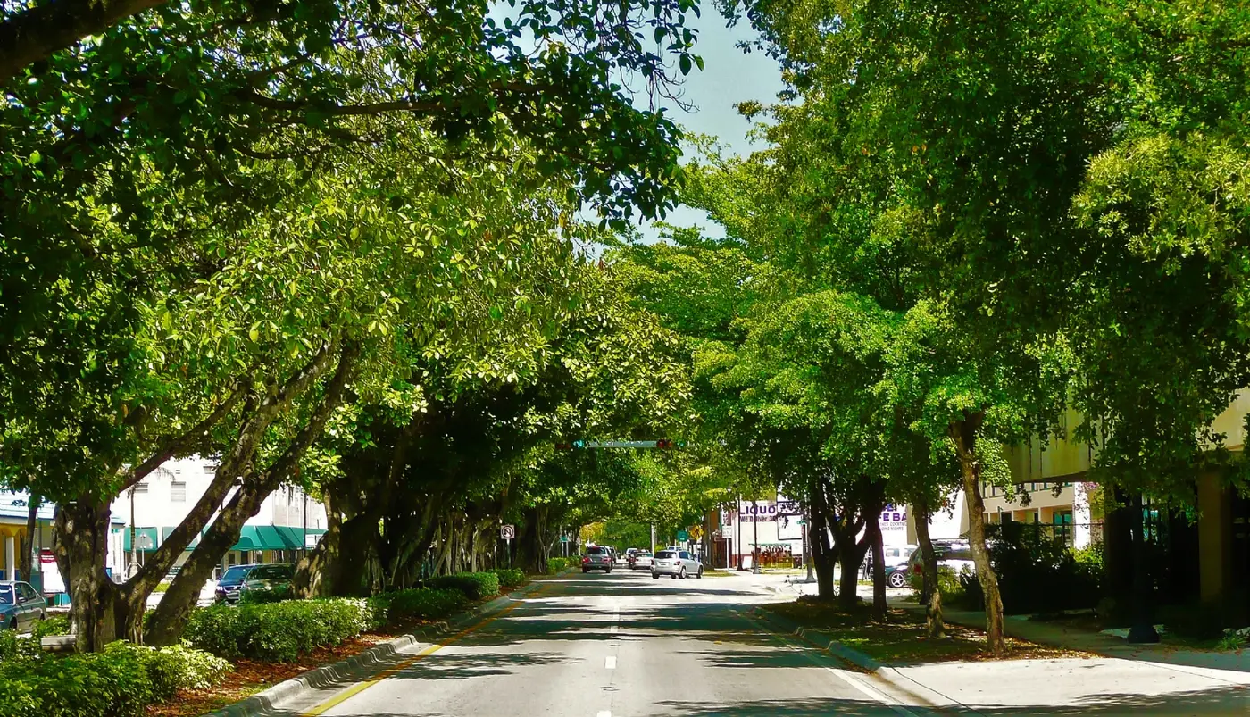 chabadofcoralway.com