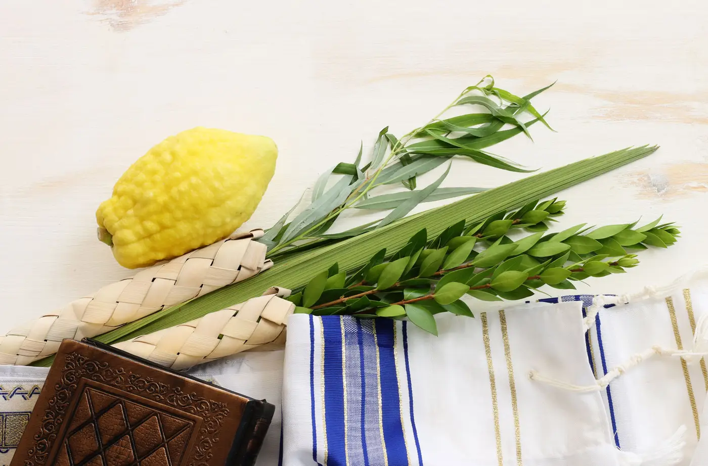 Sukkot 5787 - 2026 Celebrating together with Chabad of Central Milan Information & Registration