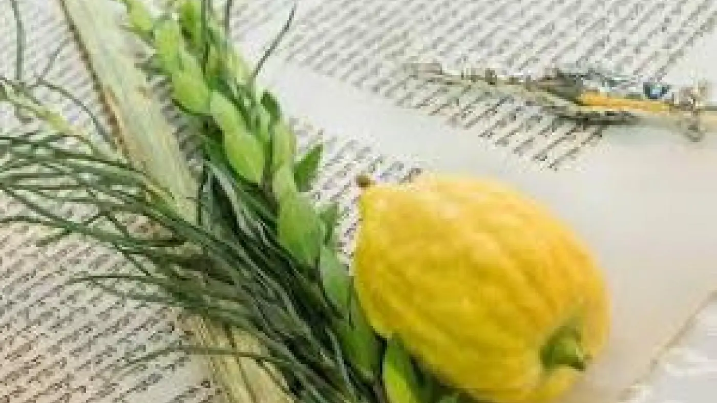 Sukkot Celebration