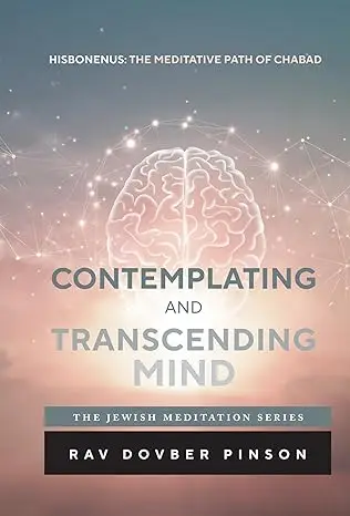 Contemplating and Transcending Mind