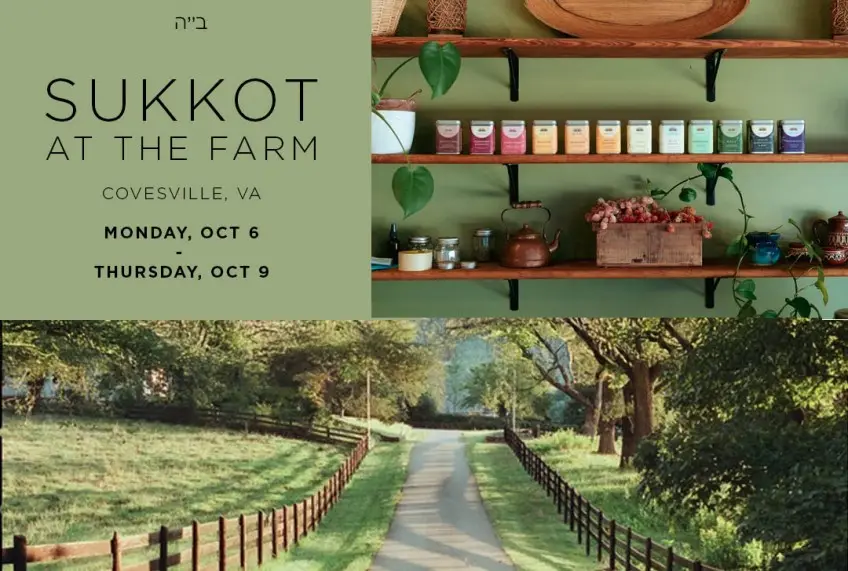 Sukkot on the Farm