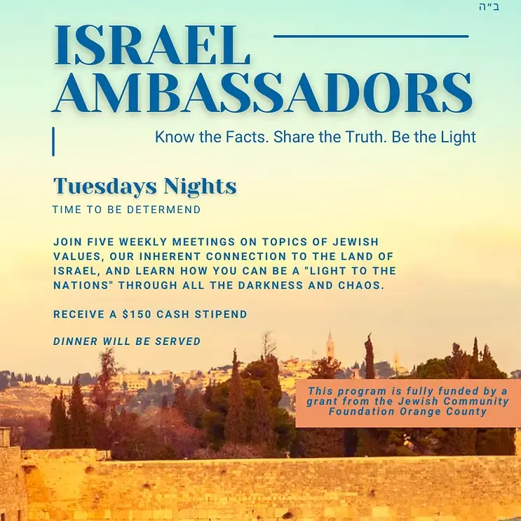 Israel Ambassadors 2024  (Instagram Post).png