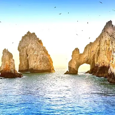 TOURIST INFO Trips & Activities etc.