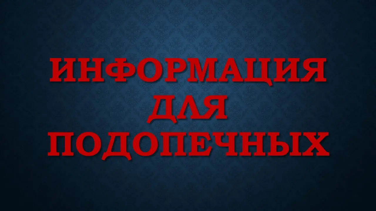 Наши партнеры