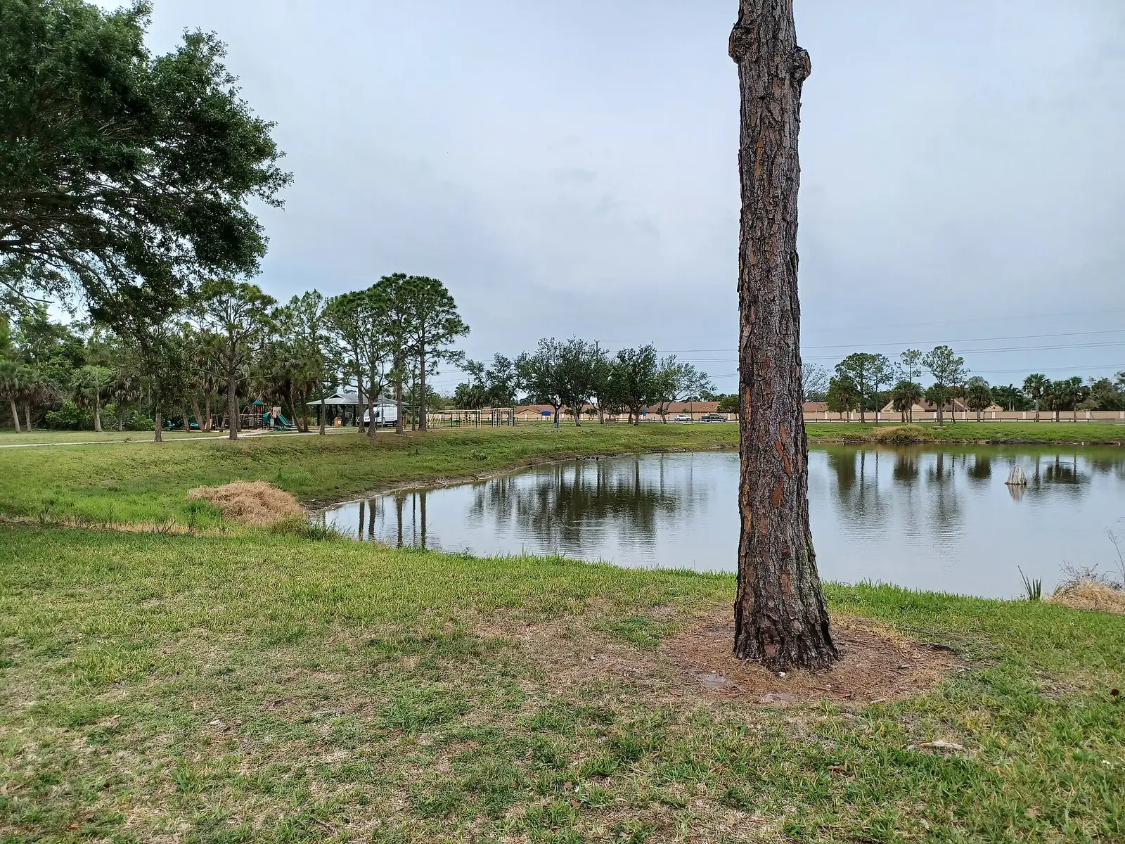 Chabad Israeli Center of Fort Myers