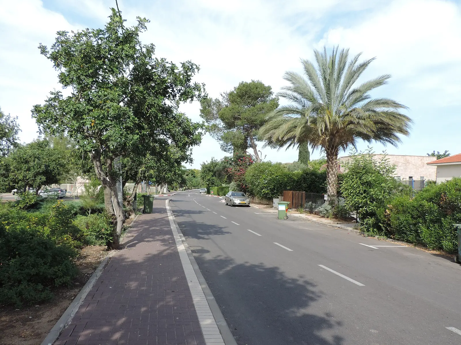Chabad of Moshav Timorim