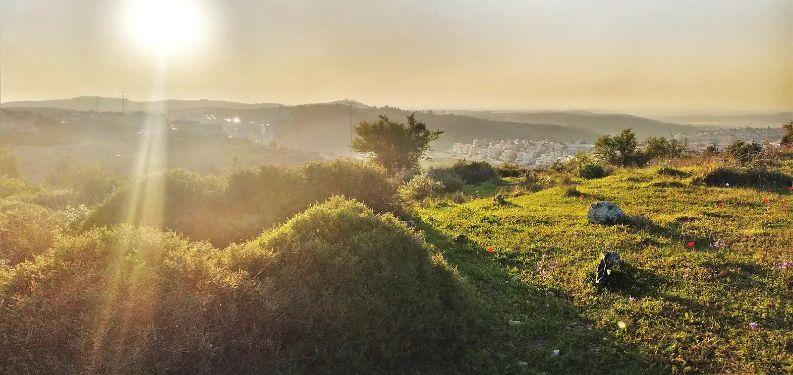 Haichel Menachem Ramat Beit Shemesh