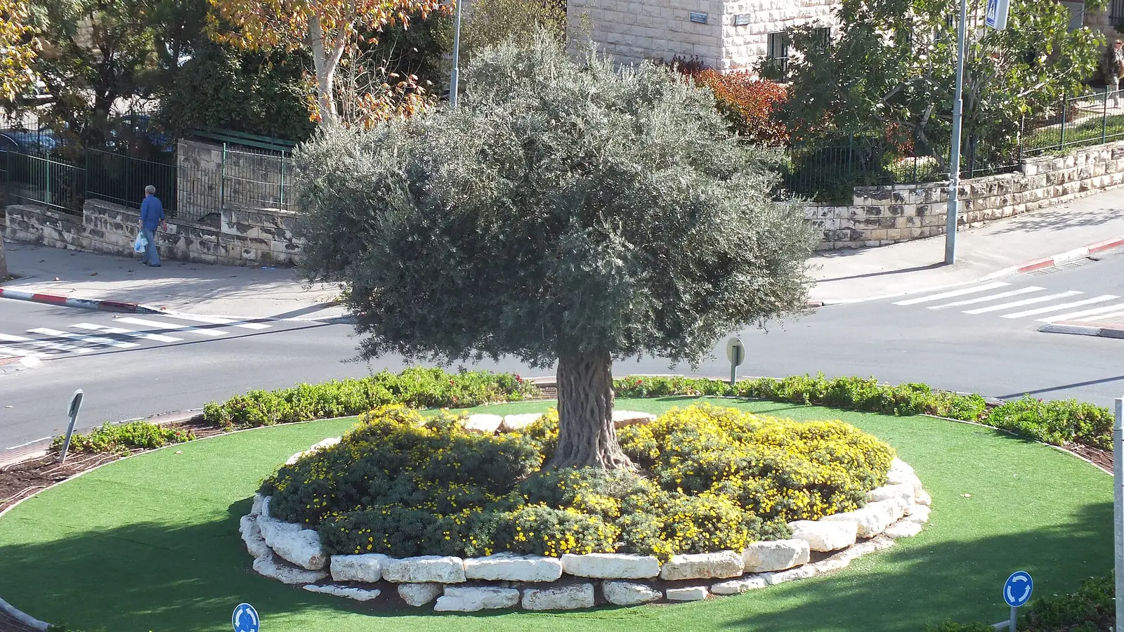 Colel Chabad "Chochmat Nashim"