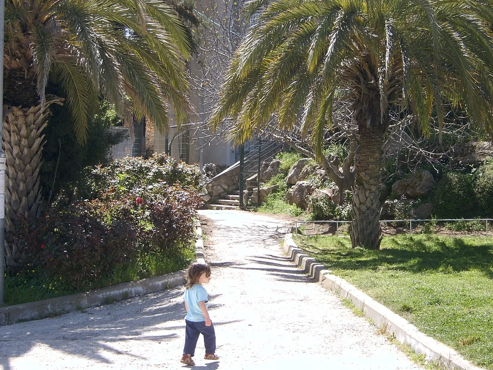 Heichal Yosef Yitzchak Synagogue