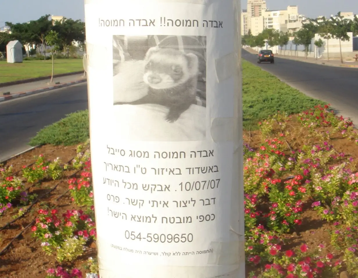 Chabad Rova Tet-Vov