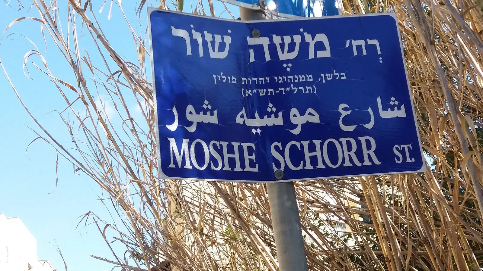 Chabad Synagogue Kol Yaakov 