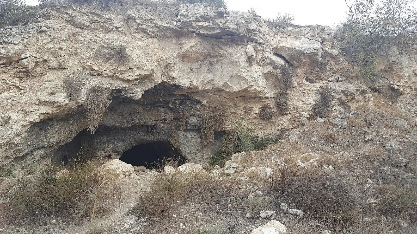Chabad Mevo Horon