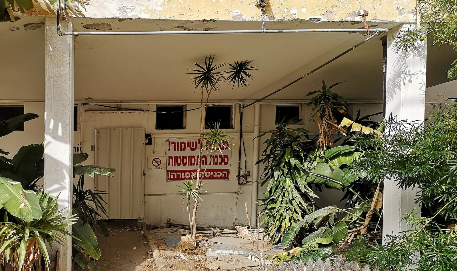 Chabad Rova Tes