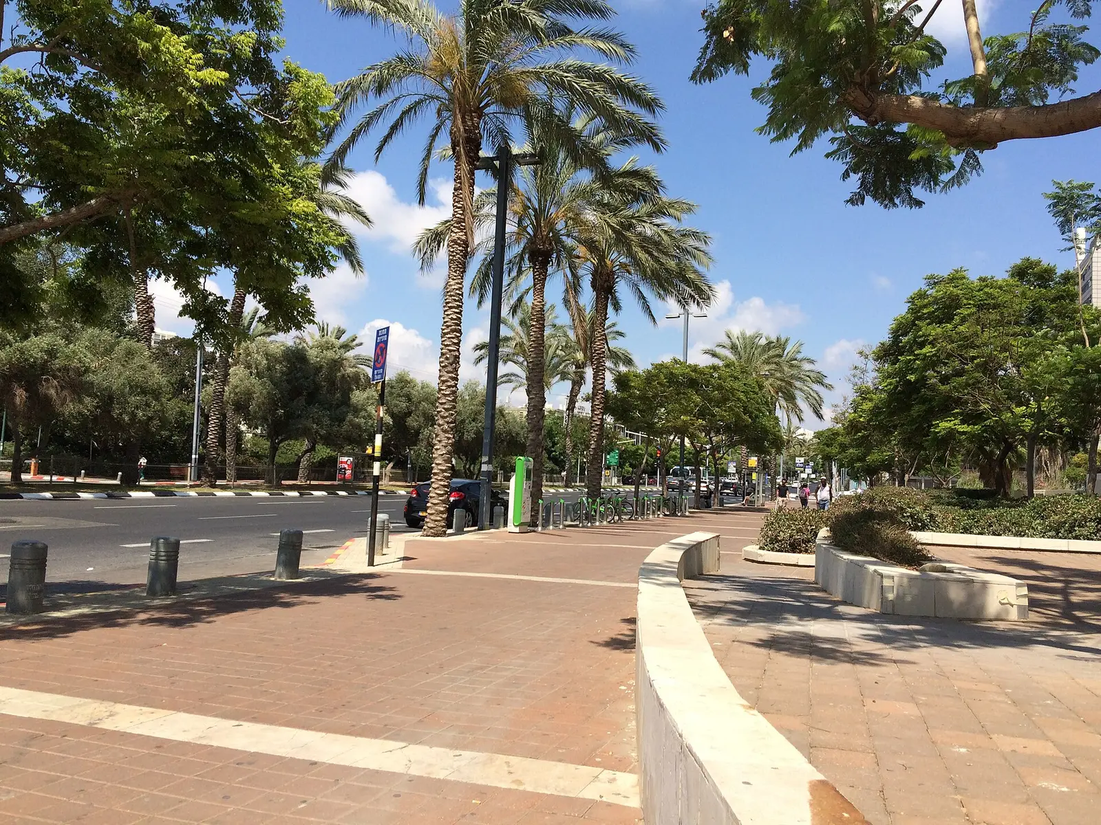 Chabad of Torat Chaim -Tel Aviv