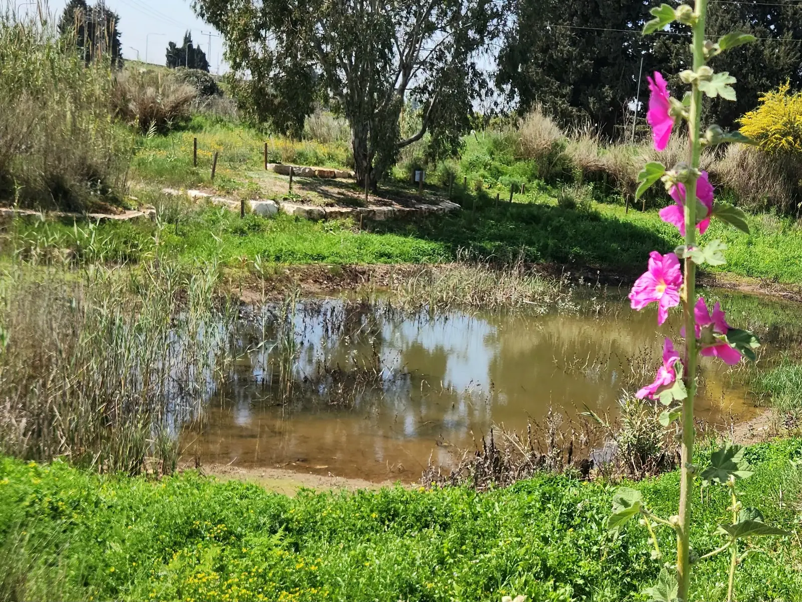 Chabad of Moshav Ezriel