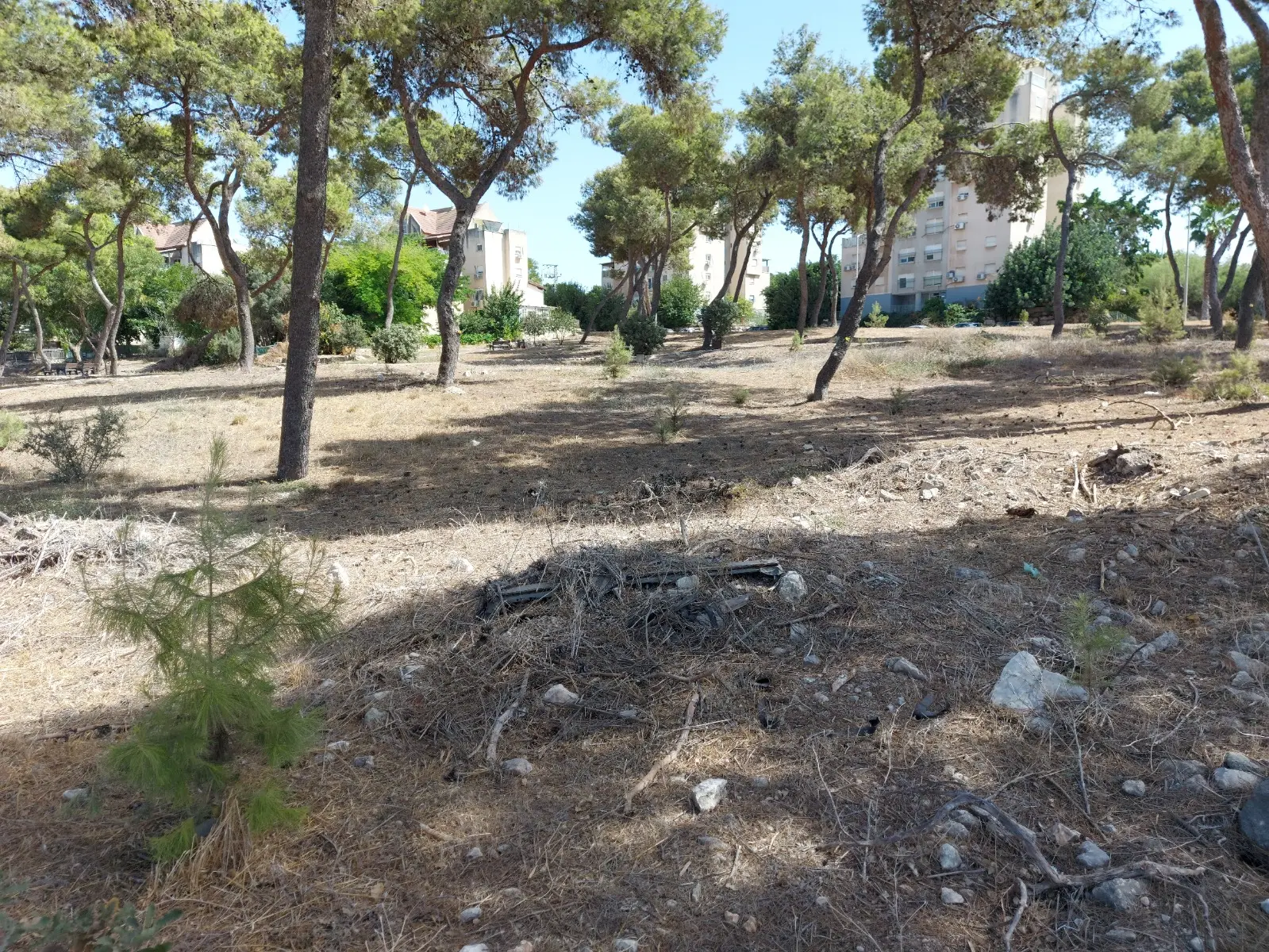 Chabad of Migdal Ha'emek