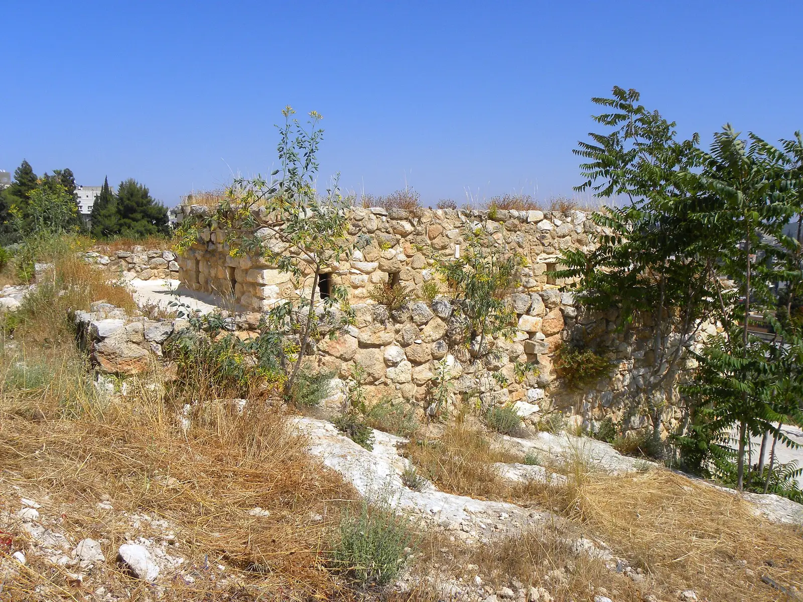 Chabad of Natsrat Illit