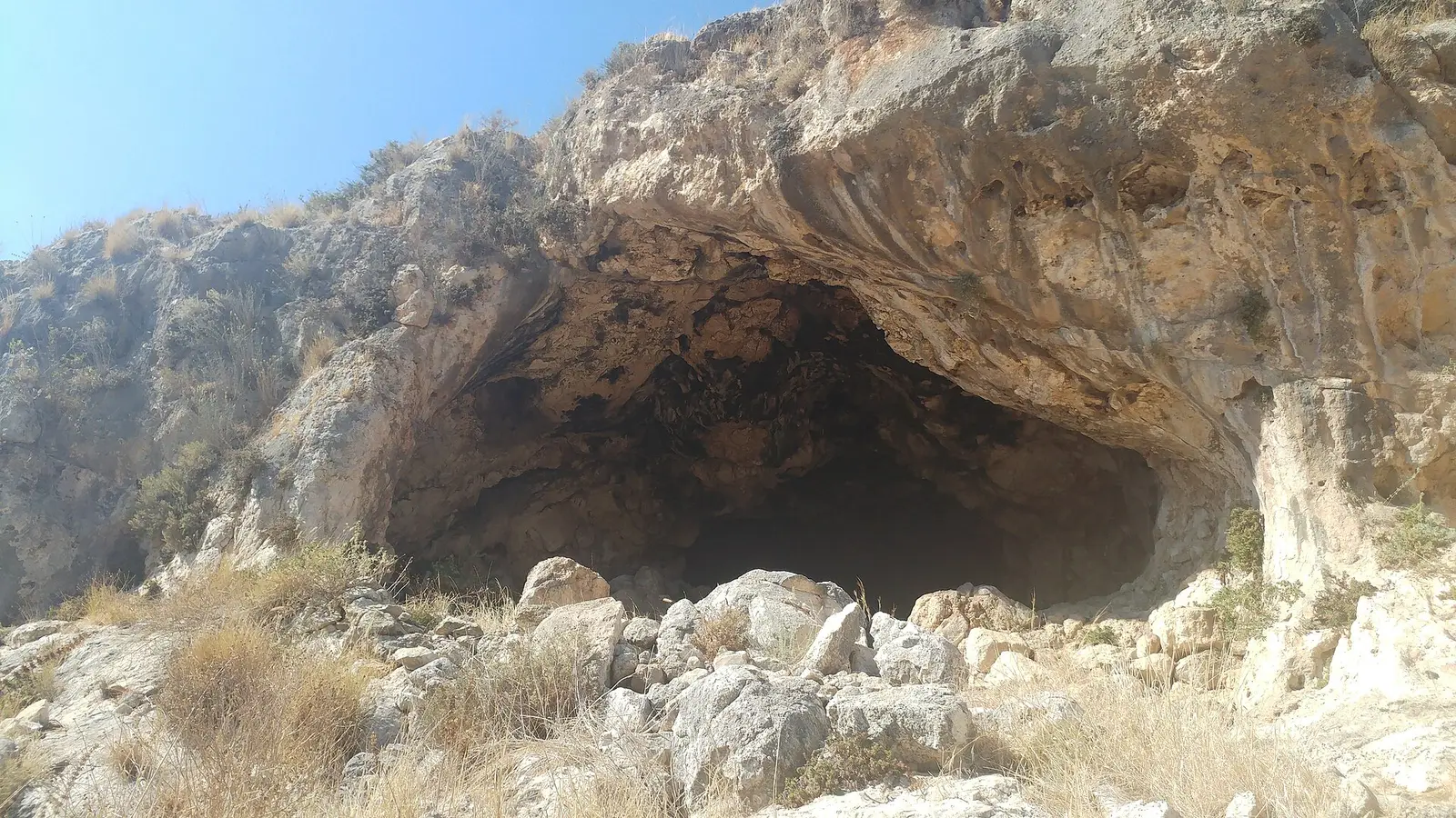 Or Avner Kfar Sitrin