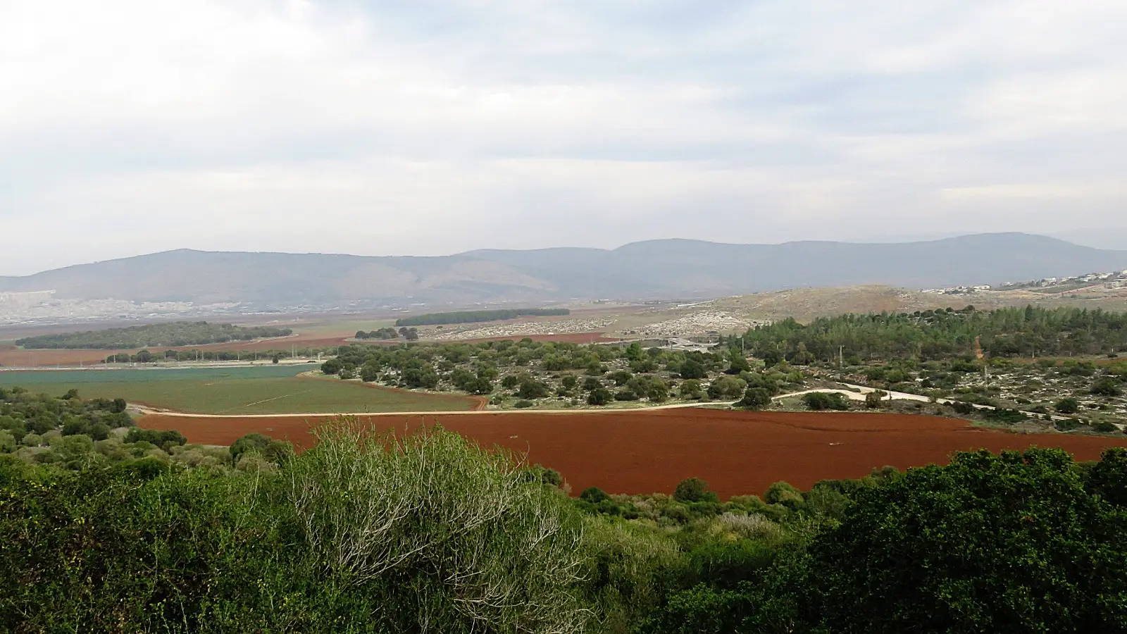 Chabad Hosha'aya