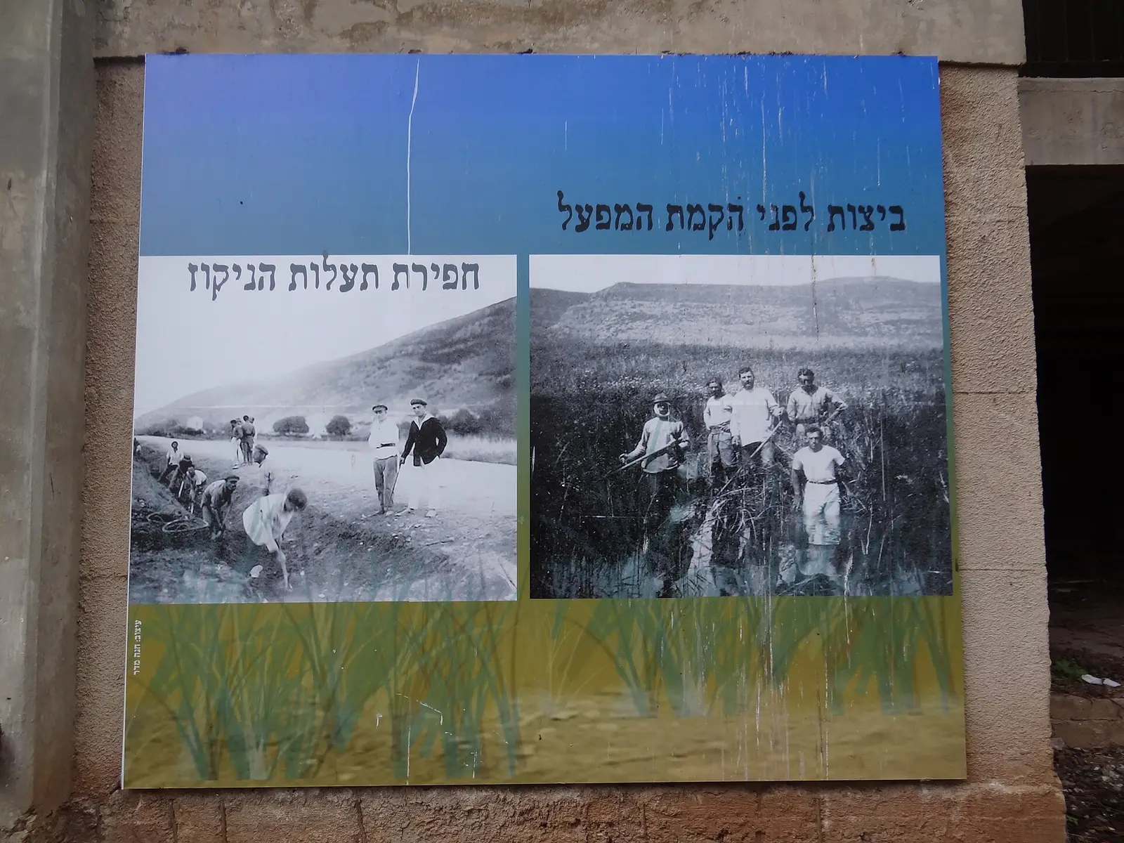 Chabad Adora