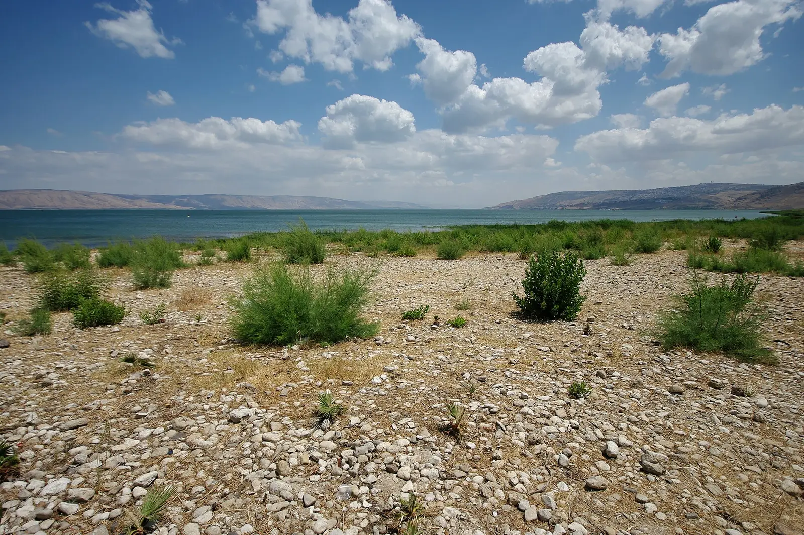 Gan Chabad