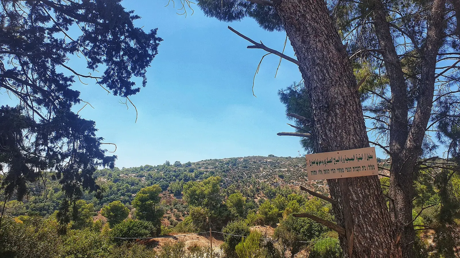 Chabad of Timrat
