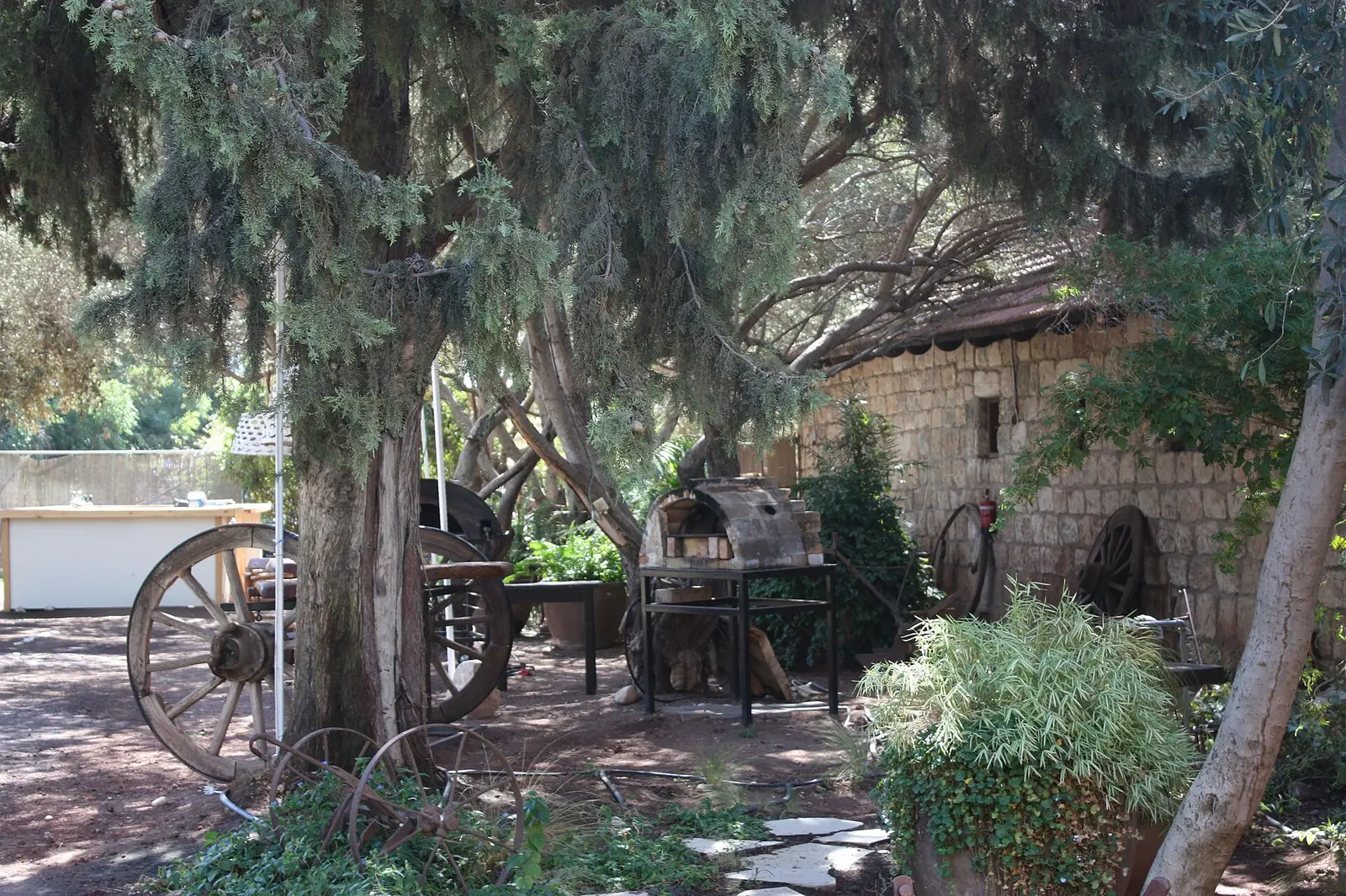 Chabad of Yesod Hama'ala