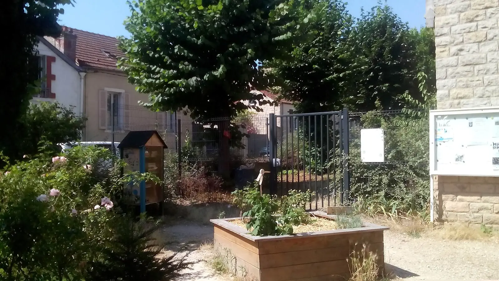 Mikvah